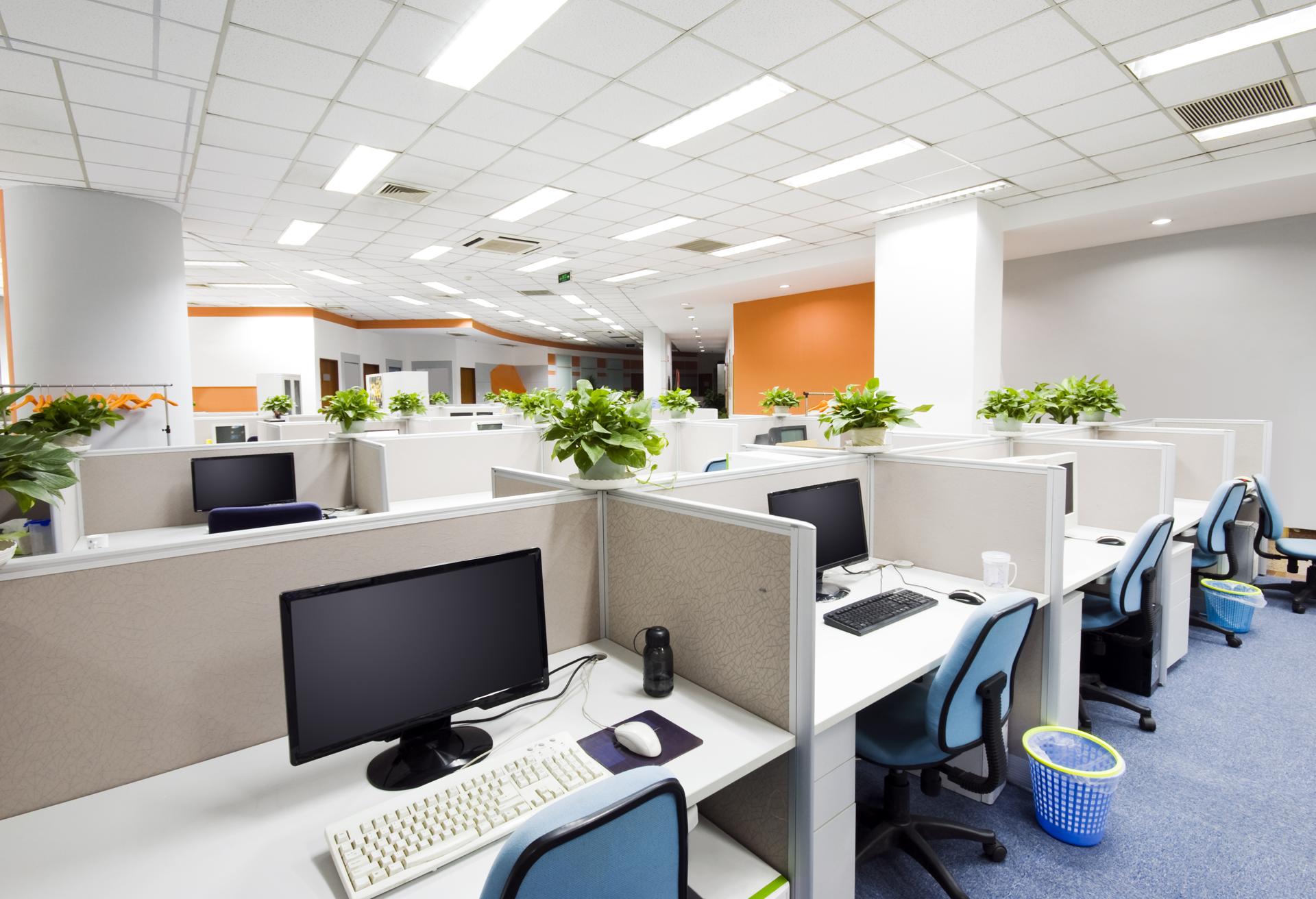 Cost-Effective Commercial Office Cleaning Service In Swanson